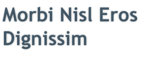 Morbi Nisl Eros
Dignissim
